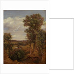 Dedham Vale, 1802 by John Constable