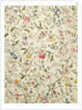 Wild flowers design for silk material, c.1790 by William Kilburn