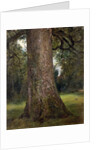 Study of the Trunk of an Elm Tree, c.1821 by John Constable
