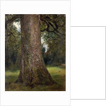 Study of the Trunk of an Elm Tree, c.1821 by John Constable
