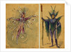 Two costume designs for fairies by C. Wilhelm