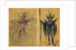 Two costume designs for fairies by C. Wilhelm