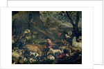 Animals Entering the Ark by Jacopo Bassano
