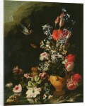 Still Life of Flowers by Paolo Porpora