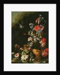 Still Life of Flowers by Paolo Porpora