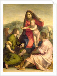 The Virgin and Child with a Saint and an Angel, c.1522-23 by Andrea del Sarto