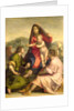 The Virgin and Child with a Saint and an Angel, c.1522-23 by Andrea del Sarto