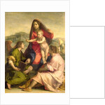 The Virgin and Child with a Saint and an Angel, c.1522-23 by Andrea del Sarto