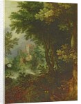 Landscape by Gillis van III Coninxloo