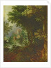 Landscape by Gillis van III Coninxloo