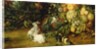 The Virgin and child in a garland of fruit and flowers, detail of animals, c.1614-18 by Jan & Rubens P.P. Brueghel
