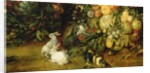 The Virgin and child in a garland of fruit and flowers, detail of animals, c.1614-18 by Jan & Rubens P.P. Brueghel