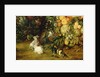 The Virgin and child in a garland of fruit and flowers, detail of animals, c.1614-18 by Jan & Rubens P.P. Brueghel