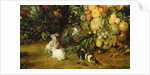 The Virgin and child in a garland of fruit and flowers, detail of animals, c.1614-18 by Jan & Rubens P.P. Brueghel