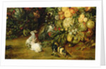 The Virgin and child in a garland of fruit and flowers, detail of animals, c.1614-18 by Jan & Rubens P.P. Brueghel