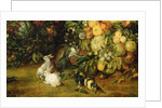 The Virgin and child in a garland of fruit and flowers, detail of animals, c.1614-18 by Jan & Rubens P.P. Brueghel
