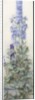 Delphiniums, c.1920 by James Valentine Jelley