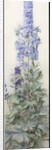 Delphiniums, c.1920 by James Valentine Jelley