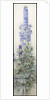 Delphiniums, c.1920 by James Valentine Jelley
