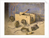 Mice and Huntley - Palmer' Superior Biscuits, c.1920 by Agnes Louise Holding