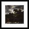 Wooded Landscape with a Waterfall, c.1660 by Jacob Isaaksz. or Isaacksz. van Ruisdael