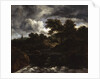Wooded Landscape with a Waterfall, c.1660 by Jacob Isaaksz. or Isaacksz. van Ruisdael