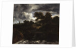 Wooded Landscape with a Waterfall, c.1660 by Jacob Isaaksz. or Isaacksz. van Ruisdael