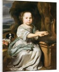 Portrait of a Girl, c.1664 by Nicolaes Maes