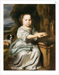 Portrait of a Girl, c.1664 by Nicolaes Maes