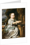 Portrait of a Girl, c.1664 by Nicolaes Maes