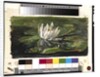 Water Lily in Sunlight, 1881 by John La Farge or Lafarge
