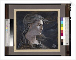 Head of Medusa, 1878 by Elihu Vedder