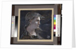 Head of Medusa, 1878 by Elihu Vedder