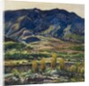 In the San Felipe Valley, 1927 by Charles P. Reiffel