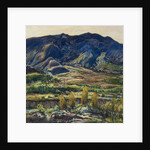 In the San Felipe Valley, 1927 by Charles P. Reiffel