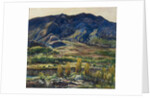 In the San Felipe Valley, 1927 by Charles P. Reiffel