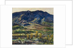 In the San Felipe Valley, 1927 by Charles P. Reiffel