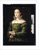 Portrait of a Lady, c.1560 by Alessandro Allori