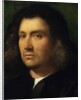 Portrait of a Man, 1506 by Giorgione