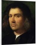 Portrait of a Man, 1506 by Giorgione