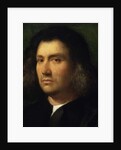 Portrait of a Man, 1506 by Giorgione