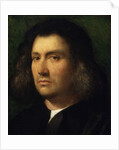Portrait of a Man, 1506 by Giorgione