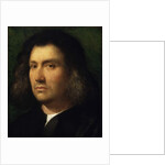 Portrait of a Man, 1506 by Giorgione