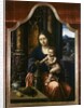 Madonna and Child, c.1520-30 by Master of the Parrot