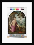 Saint Jerome in the Wilderness, c.1510-15 by Pietro Perugino