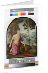 Saint Jerome in the Wilderness, c.1510-15 by Pietro Perugino