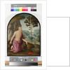 Saint Jerome in the Wilderness, c.1510-15 by Pietro Perugino