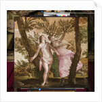 Apollo and Daphne, c.1560-65 by Veronese