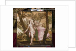 Apollo and Daphne, c.1560-65 by Veronese