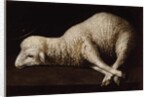 Agnus Dei, c.1635-40 by Francisco de Zurbaran